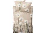 Bettwäsche KLEINE WOLKE "Belfiore", beige, B/L: 135cm x 200cm, 1 Stk., 1 Stk., Mako-Satin, B/L: 80cm x 80cm, 2 Stk., Mako-Satin, Obermaterial: 100% Baumwolle, Bettwäsche, Bettwäsche, mit Pusteblumen