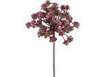 Kunstblume I.GE.A. "Dill", rot, B:14cm H:55cm L:14cm, Obermaterial: 100% Kunststoff, Kunstpflanzen, Kunstblume, Metallic-Distelzweig, Kunstzweige, 3er Set