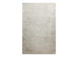 Teppich HOMIE LIVING "Pisa", beige (hellgrau creme), B:120cm H:25mm L:170cm, Polyester, Teppiche, Teppich, Hochflor, Microfaser, uni, weich, Shaggy, Wohnzimmer, Schlafzimmer