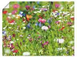 Wandbild ARTLAND "Blumenwiese I", grün (farbe bild(er): grün), B:40cm H:30cm, Bilder, als Leinwandbild, Poster in verschied. Größen