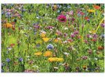 Wandbild ARTLAND "Bunte Blumenwiese", bunt (farbe bild(er): bunt), B:120cm H:80cm, Bilder, für Innen- und Außenbereich geeignet, Outdoorbild