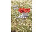 Alu-Dibond-Druck ARTLAND "Stuhl im Kamille Feld mit Mohnblüten", weiß (farbe bild(er): weiß), B:20cm H:30cm, Bilder, für Innen- und Außenbereich geeignet, Outdoorbild