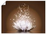 Wandbild ARTLAND "Magie der Lotus-Blume", braun (farbe bild(er): braun), B:80cm H:60cm, Bilder, als Leinwandbild, Poster in verschied. Größen
