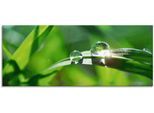 Glasbild ARTLAND "Grüner Hintergrund mit Gras", grün (farbe bild(er): grün), B:125cm H:50cm, Bilder, in verschiedenen Größen