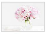 Bild QUEENCE "Carina", rosa (farbe rahmen: weiß, farbe bild(er): rosa), B:50cm H:40cm, Acrylglas, Holz, Papier, Bilder, Bild, gerahmt, Rosen