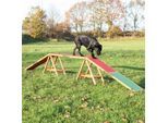 Trixie Fun Agility Steg