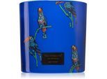 Vila Hermanos Jungletopia Rain Forest geurkaars 620 g