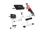 tectake® Hyperextension-Bank, Rückenstrecker und Bauchtrainer, 5-fach verstellbar, klappbar, rutschfeste Fußenden