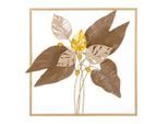Möbelix , Creme, Goldfarben, Beige , Metall , 50.20x50.2x5.10 cm , Dekoration, Bilder & Rahmen, Wanddeko