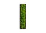 Möbelix , Grün , Naturmaterialien , Kork , 26x6x4 cm , einfache und schnelle Anbringung, pflegefrei – nicht gießen oder besprühen, keine Beleuchtung notwendig , Dekoration, Bilder & Rahmen, Bilder, Moosbilder