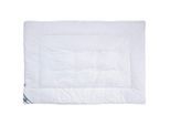 FAN , Weiß , Textil , Füllung: Polyester, Hohlfaser , 140x200 cm , Oeko-Tex® Standard 100 , für Hausstauballergiker geeignet, feuchtigkeitsregulierend, Tasche , Heimtextilien, Schlaftextilien, Bettdecken, Winterdecken