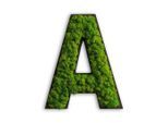 Möbelix , Grün , Naturmaterialien , Kork , 26x21x4 cm , einfache und schnelle Anbringung, pflegefrei – nicht gießen oder besprühen, keine Beleuchtung notwendig , Dekoration, Bilder & Rahmen, Bilder, Moosbilder
