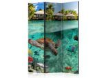 artgeist , Mehrfarbig , Holz, Textil , Kiefer , massiv , Tier , 135x172x3 cm , Motiv auf Vorder- und Rückseite , Kleinmöbel, Paravents