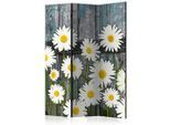 artgeist , Grau, Weiß , Holz, Textil , Kiefer , massiv , Blume , 135x172 cm , Motiv auf Vorder- und Rückseite , Kleinmöbel, Paravents