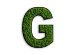 Möbelix , Grün , Naturmaterialien , Kork , 35x23x5 cm , einfache und schnelle Anbringung, pflegefrei – nicht gießen oder besprühen, keine Beleuchtung notwendig , Dekoration, Bilder & Rahmen, Bilder, Moosbilder