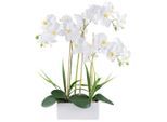 Möbelix , Weiß , Kunststoff , 58 cm , Real-Touch-Oberfläche , Dekoration, Blumen & Blumentöpfe, Kunstblumen