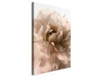 artgeist , Weiß, Grauweiß , Holzwerkstoff, Textil , rechteckig , 40x60x1.2 cm , Keilrahmen , Dekoration, Bilder & Rahmen, Bilder, Blumen Bilder