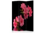 artgeist , Schwarz, Pink , Holz, Textil , Kiefer , massiv , Blume , 135x172x3 cm , Motiv auf Vorder- und Rückseite , Kleinmöbel, Paravents