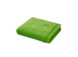 Moeve , Grün , Textil , Uni , 80x150 cm , DIN EN ISO 14001, DIN EN ISO 50001, DIN EN ISO 9001, Oeko-Tex® Standard 100 , saugfähig, Aufhängeschlaufe, angenehm weich, hochwertige Qualität, schadstoffgeprüft , Heimtextilien, Badtextilien, Handtücher, Duschtücher