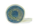 Creatable , Blau, Grün , Keramik , rund , lebensmittelecht ,