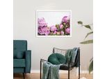 Bild QUEENCE "Karen", rosa (farbe rahmen: weiß, farbe bild(er): rosa), B:60cm H:50cm, Acrylglas, Holz, Papier, Bilder, Bild, Rosen, gerahmt
