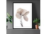 Bild QUEENCE "Annabell", beige (farbe rahmen: schwarz, farbe bild(er): beige), B:30cm H:40cm, Acrylglas, Holz, Papier, Bilder, Bild, Blumen, gerahmt