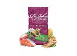 Dr John Ente und Lachs 12,5 kg