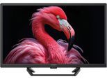 STRONG LED-Fernseher "SRT 24HG4723C", Energieeffizienz: D, schwarz, 24 ″, Fernseher, Video-Streaming: Netflix, Youtube, Amazon Prime Video, Disney+, LED-Fernseher