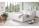 Boxspringbett COTTA "Fort mit Bettkasten, inkl. Topper", beige (natur), B:201cm L:228cm, 100% POLYESTER (PES), Komplettbetten, Boxspringbett, erhältlich in verschiedenen Breiten (160cm, 180cm & 200cm)