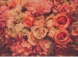 Fototapete LIVING WALLS "Designwalls Flower Wall", orange (orange, rot), B:3,5m L:2,55m, Vlies, Tapeten, Vlies, Wand, Schräge, Decke