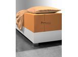 Spannbettlaken FLEURESSE "Comfort XL", orange, 1 Stk., Mako-Jersey, 180x200 180x210 180x220 190x200 190x210 190x220 200x200 200x210 200x220 40cm, Mako-Jersey, Obermaterial: 96% Baumwolle, 4% Elasthan (LYCRA), Bettlaken, Spannbettlaken, Mako-Jersey, für Matratzen bis 40 cm Höhe, Bettlaken, Spannbetttuch