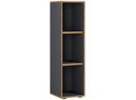 Mid.you , Anthrazit, Honigeiche , Holzwerkstoff , 2 Fächer , 30x110x33 cm , stehend , Büromöbel, Aktenschränke & Aktenregale, Aktenregale