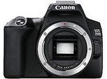 Canon EOS 250D Body schwarz