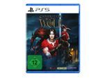PQUBE Spielesoftware "Chronicles of the Wolf", transparent (ohne farbbezeichnung), PlayStation 5, Spielesoftware, Spielesoftware