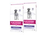 EUKANUBA Veterinary Diet Trockenfutter Hund Dermatosis Adult 2x12 kg