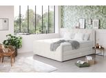 Boxspringbett COTTA "Fort mit Bettkasten, inkl. Topper", beige (cream), B:161cm L:228cm, 100% POLYESTER (PES), Komplettbetten, Boxspringbett, erhältlich in verschiedenen Breiten (160cm, 180cm & 200cm)