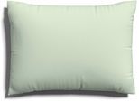 Kissenbezug SCHLAFGUT "EASY JERSEY Kissenhülle 100% Baumwolle, weicher Edel-Jersey, bügelfrei", grün (grün light), B:60cm L:80cm, Jersey, Obermaterial: 100% Baumwolle, Kissenbezüge, Kissenbezug, mit farblich angepasstem Reißverschluss, pflegeleicht, formstabil