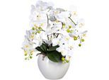 Kunstorchidee CREATIV GREEN "Phalaenopsis im Keramiktopf", weiß, H:56cm, Obermaterial: 95% Polyethylen, 5% Polyester, Kunstpflanzen, Kunstorchidee