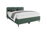 Boxbett Livetto Grün ca. 180x200cm