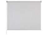 Rollo Nova Hellgrau ca. 90x210cm