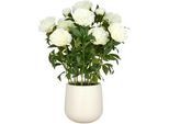 Kunstpflanze Peonien Creme ca. 80cm
