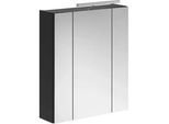Spiegelschrank Linus mit LED ca. 60x71x19 cm Schwarz