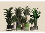 Fototapete LIVING WALLS "Walls by Patel Plant Shop", grün, B:4m L:2,7m, Vlies, Tapeten, Vlies, Wand
