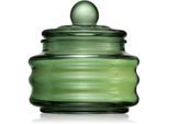 Paddywax Beam Cactus Flower geurkaars 85 g