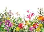 Fototapete LIVING WALLS "Flower Power Vlies", bunt, B:3,5m L:2,55m, Vlies, Tapeten, Fototapete Blumen Tapete Floral Weiß Bunt 3,50 m x 2,55 m Tapete