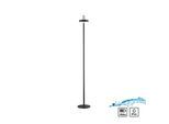 JUST LIGHT Stehlampe "AMAG", schwarz, 1, Ø 18cm H: 125,2cm, 1 Stk., Leuchten, Akkuleuchte, Stehlampe