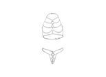 Massiver Kettenbikini