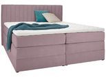 Boxspringbett Simon in Flieder ca. 160x200cm