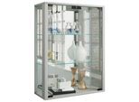 Hängevitrine Udina in Silberfarben