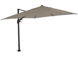 AMPELSCHIRM T50071